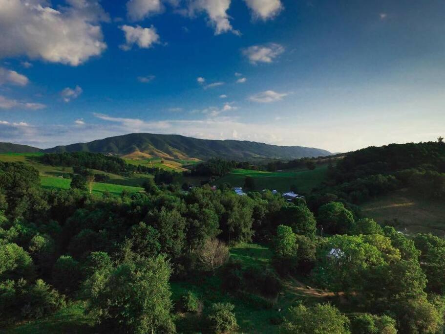 הוילה Tazewell Foxtail Orchards - The Fox Den מראה חיצוני תמונה
